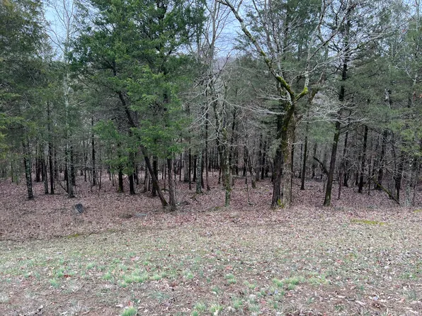 000 Arabian Way, Saddlebrooke, MO 65630