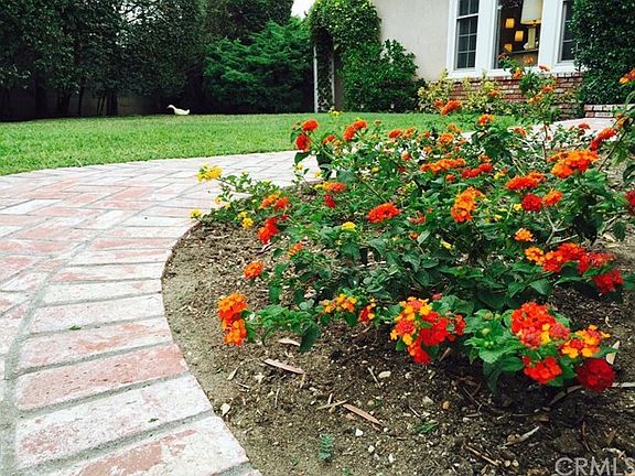 FYI that's not a real duck close to the fence.  Love the flowers.