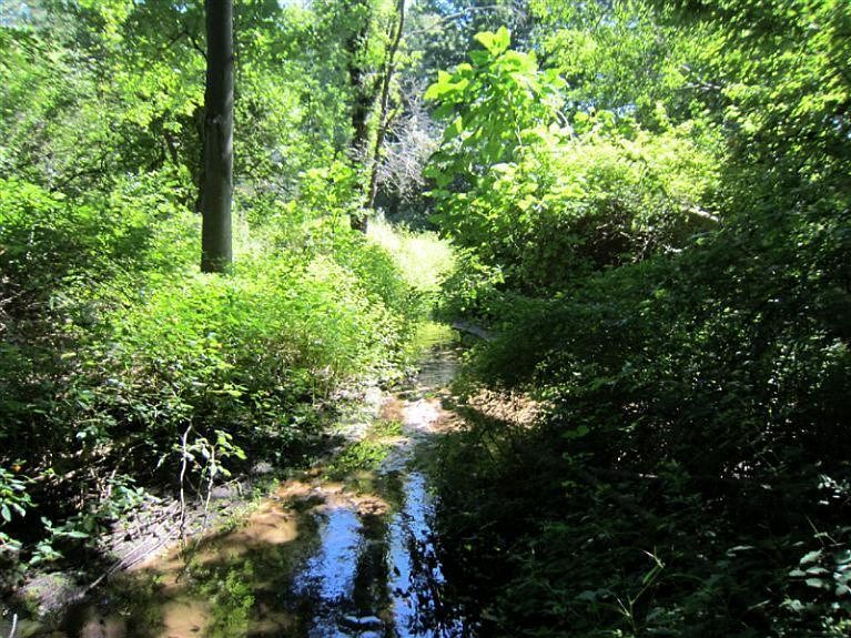 1st image of Coolidge Ave