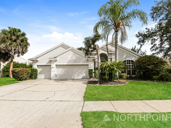 4351 Ellinwood Blvd, Palm Harbor, FL 34685