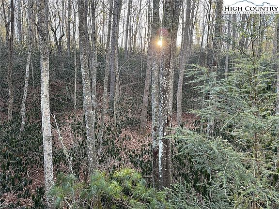 5th image of Lot 7B Fernwood Lane