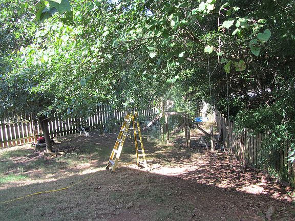 some of the backyard