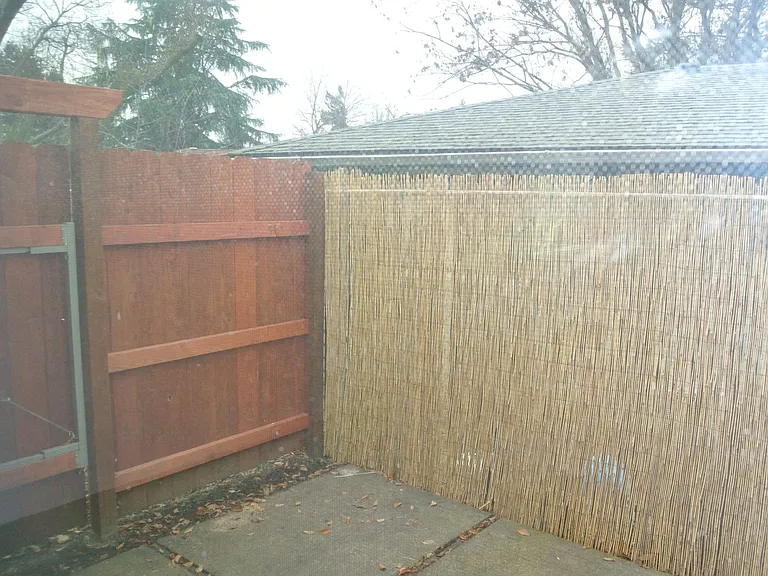 Bamboo Screened Backyard