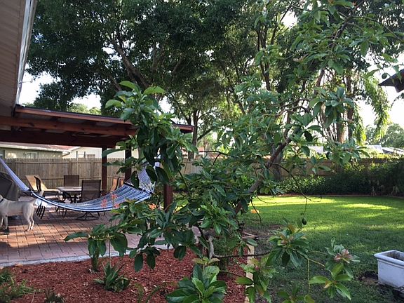 Back Patio/Yard