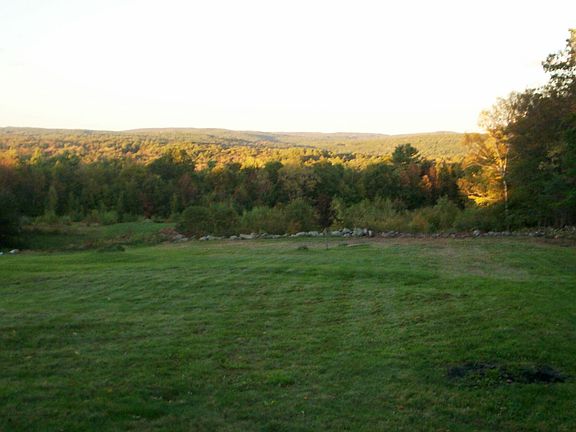Backyard View