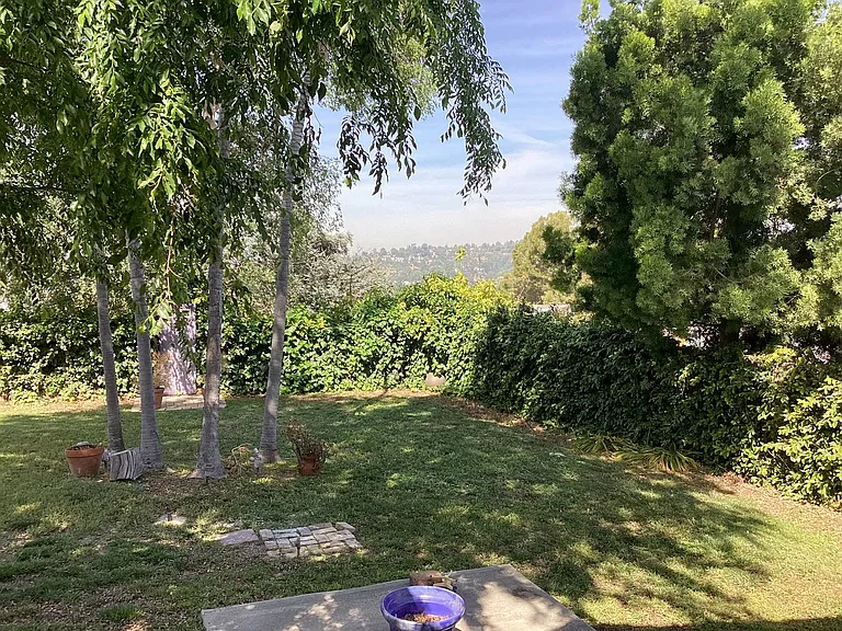 1125 Pagoda Pl — Photo 13