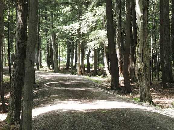 As you pull in the drive way you see these beautiful pine trees...