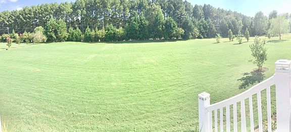 back yard