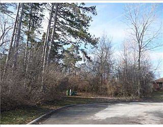 2nd image of 1377 Wolverhampton Ln