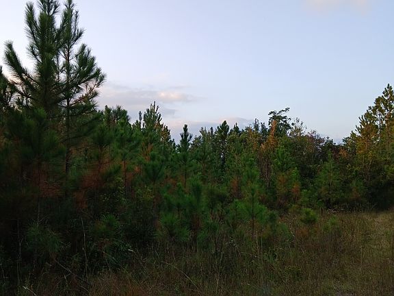 5th image of 0 Kings Bay Rd