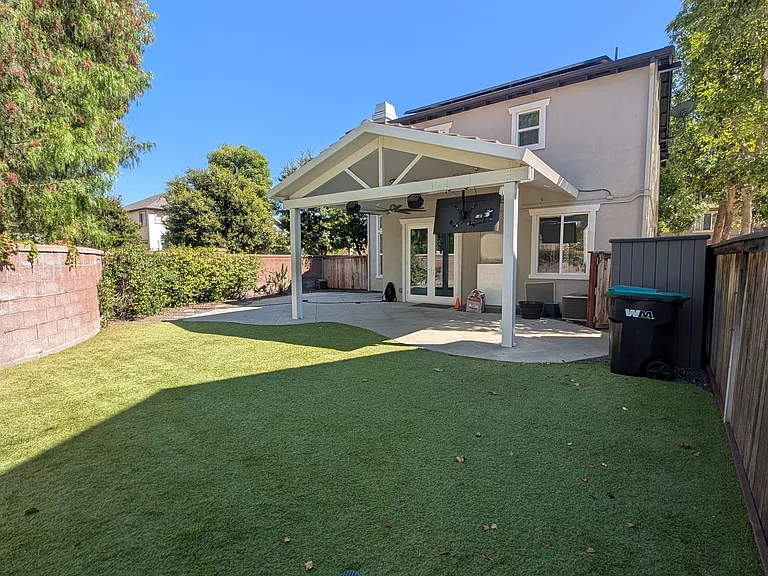 Backyard