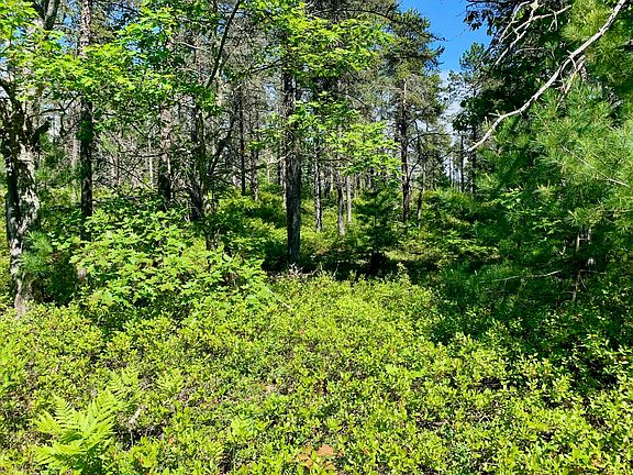 5th image of 13713 N Whitefish Point Rd