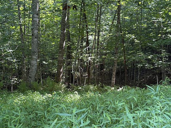3rd image of 5 Mill Ridge Rd