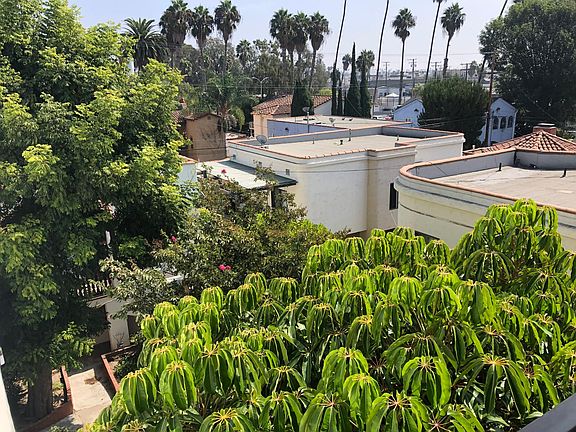 Great views of all of Belmont Shore