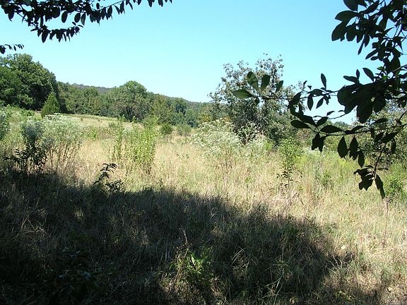 4th image of 23 Hootie Loop
