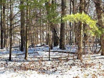 Otter Dr, Waupaca, WI, 54981