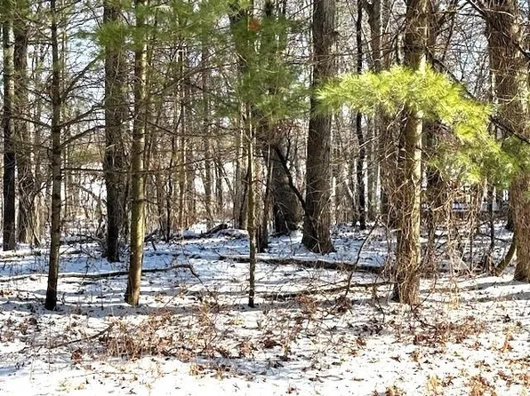 Otter Dr, Waupaca, WI 54981