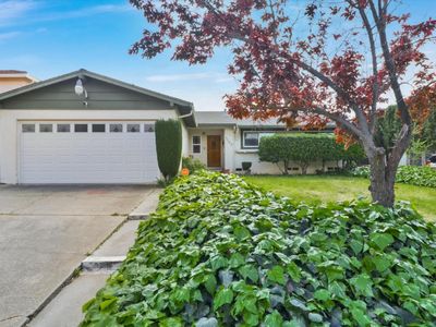 3548 Columbine Dr, San Jose, CA, 95127
