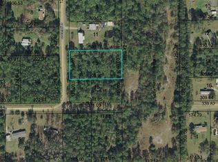 2377 Blueberry St, Bunnell, FL 32110