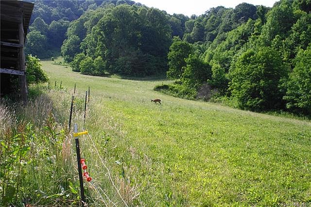 1st image of 1842 S Fork Rd