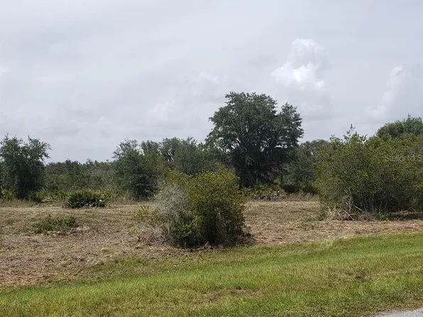 40411 20th Pl E, Myakka City, FL 34251