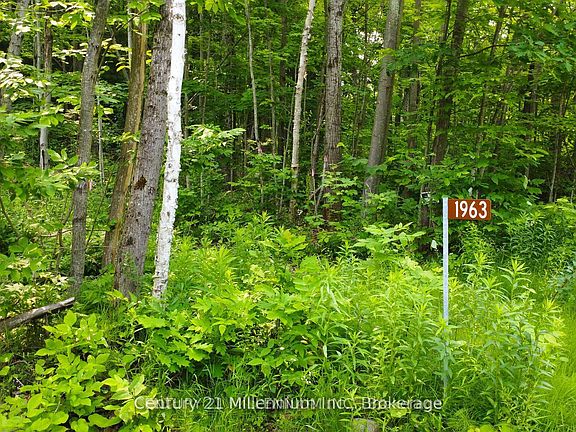 2nd image of 52 Tiny Beaches Rd N