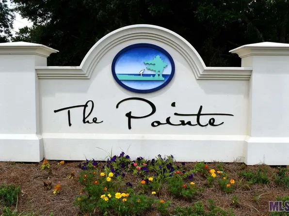 7713 Cutt Point Dr, Ventress, LA 70783