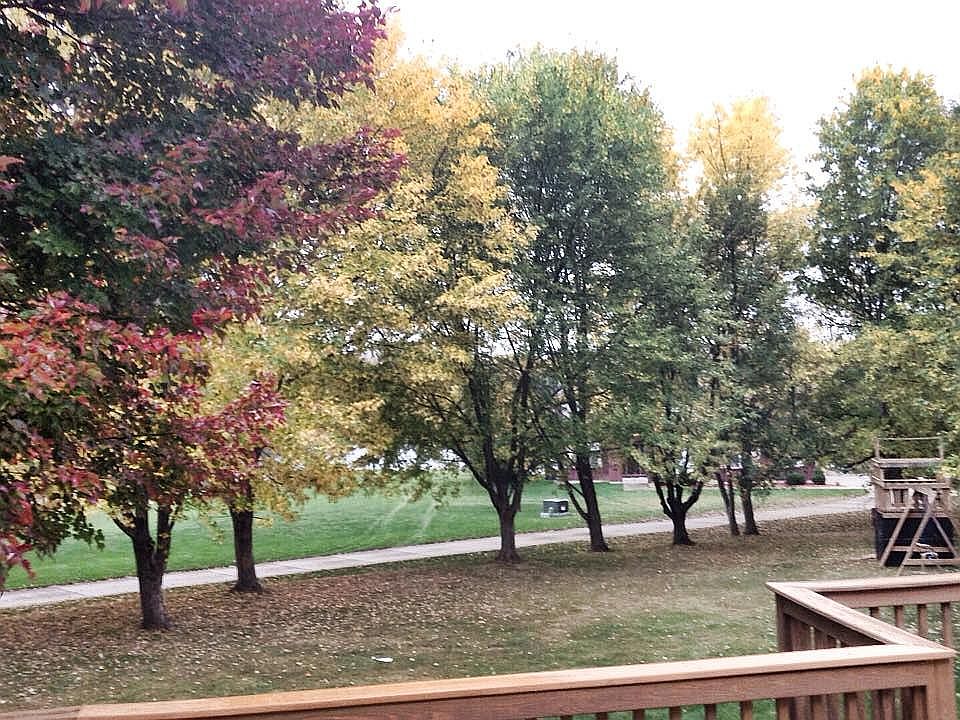 2nd image of 3638 Trevor Ln
