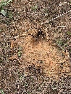 2nd image of 0 Rutledge Rd #2