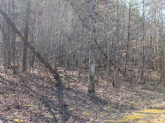 2nd image of Speedwell Ln