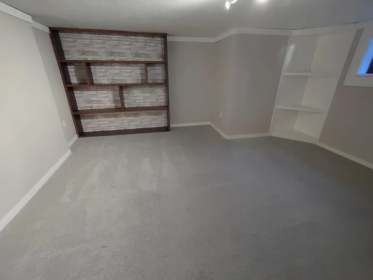 Lower Family Room