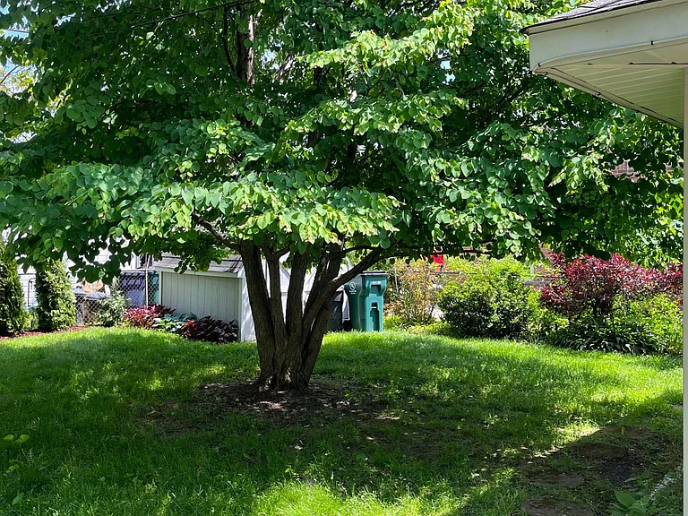 1812 Clifton Ave — Photo 8