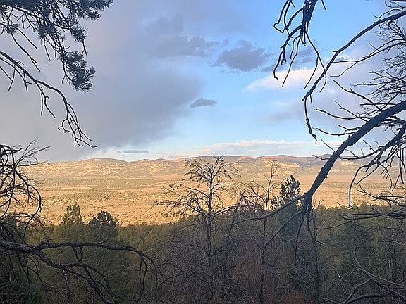 5th image of 1430 Mule Deer Dr