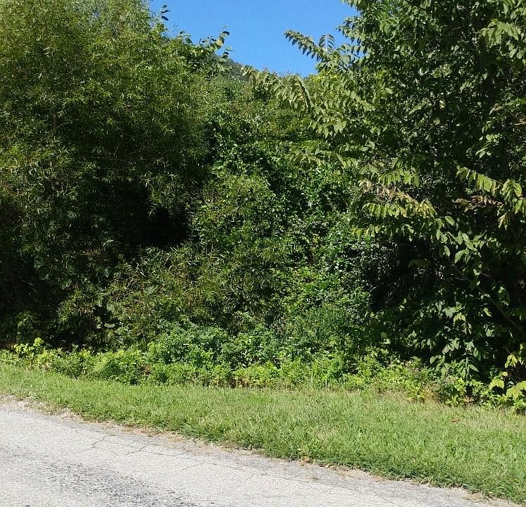 2nd image of Wades Gap Rd Lot 2