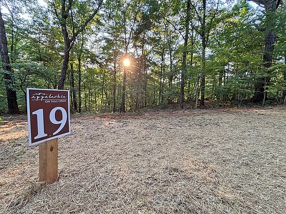 4th image of 19 Mount Springer Rd