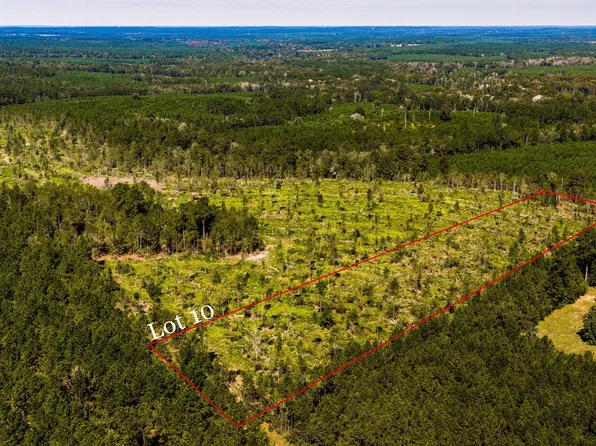 10 Buddy Lloyd Rd Lot 10, Livingston, TX 77351
