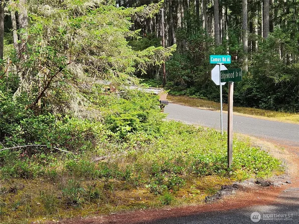 12717 Camus Drive, Anderson Island, WA 98303