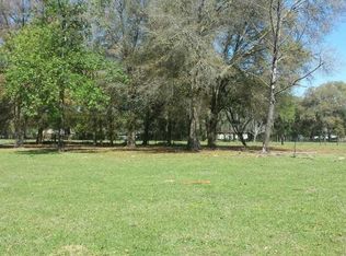 9602 Alachua Ln, Thonotosassa, FL 33592
