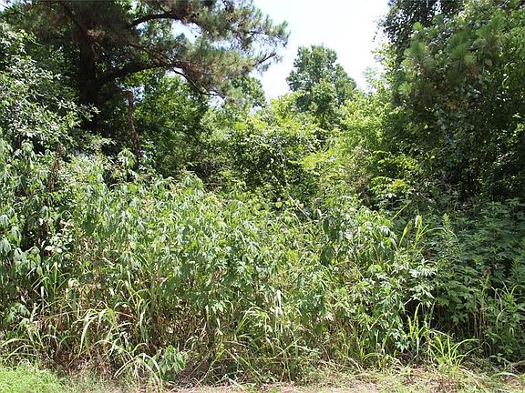2nd lot could be cleared if you wanted a garage or larger yard.