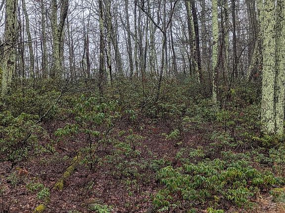 3rd image of 97 Otens Road