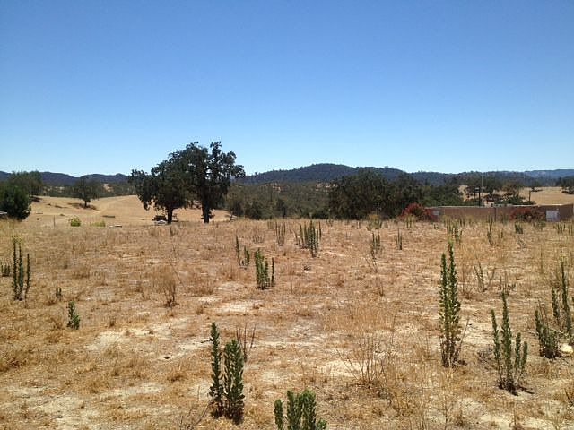 1st image of Nacimiento Lake Dr