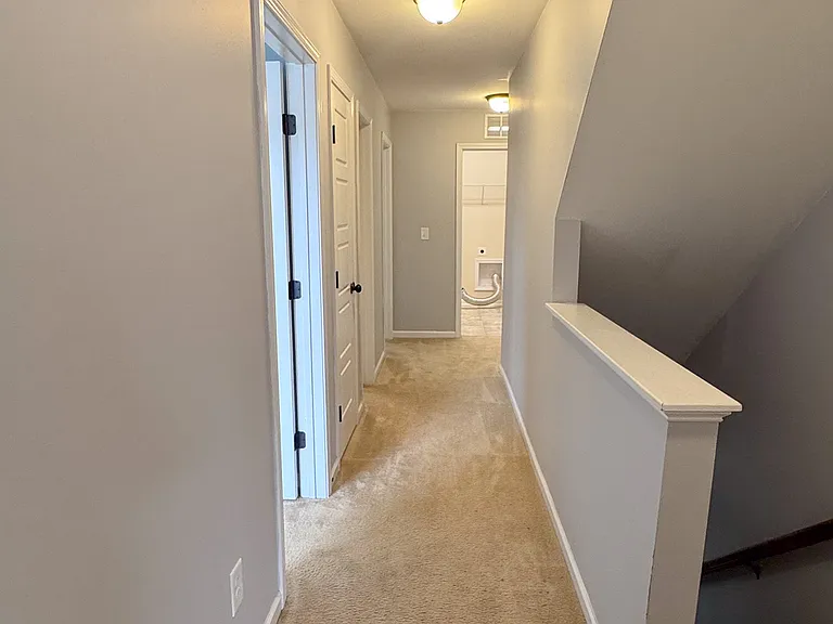 429 Bald Cypress Ln — Photo 19
