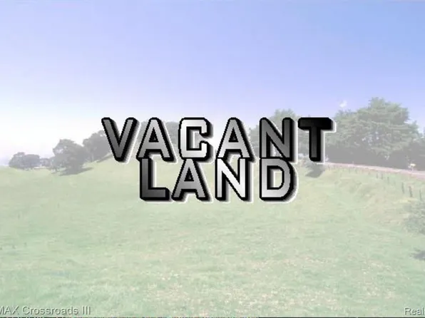 Vacant Grant, Romulus, MI 48174