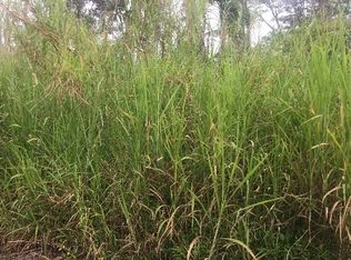 Forest Rd LOT 3, Pahoa, HI 96778