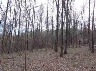 359 Eagle Rdg, Sneedville, TN 37869