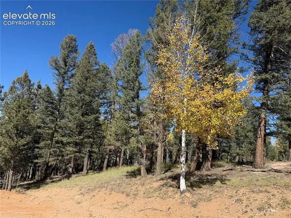 37 Serenity Cir, Florissant, CO 80816