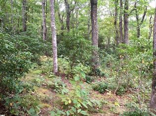 401 Panther Mountain Rd #CVN-16, Zirconia, NC 28790