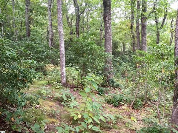 401 Panther Mountain Rd #Cvn-16, Zirconia, NC 28790