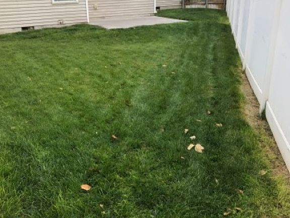 3rd image of 369 Scott Ct