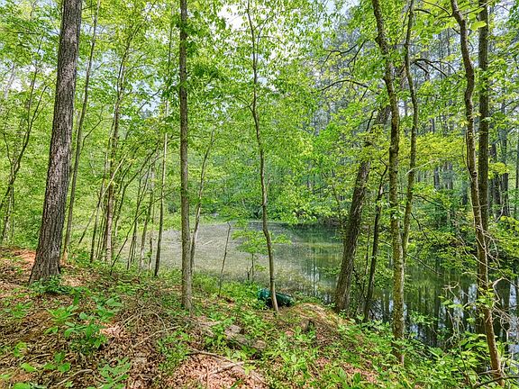 3rd image of 0 Motlow Creek Rd